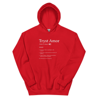 Definition Hoodie - trystamor