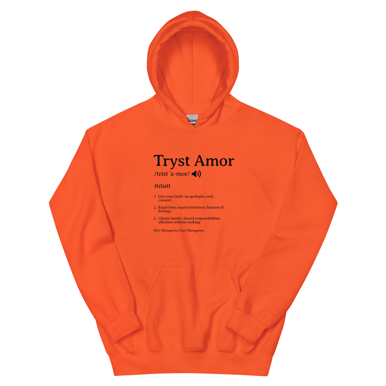 Definition Hoodie - trystamor