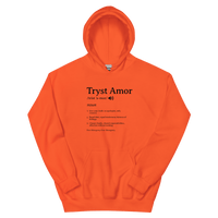 Definition Hoodie - trystamor