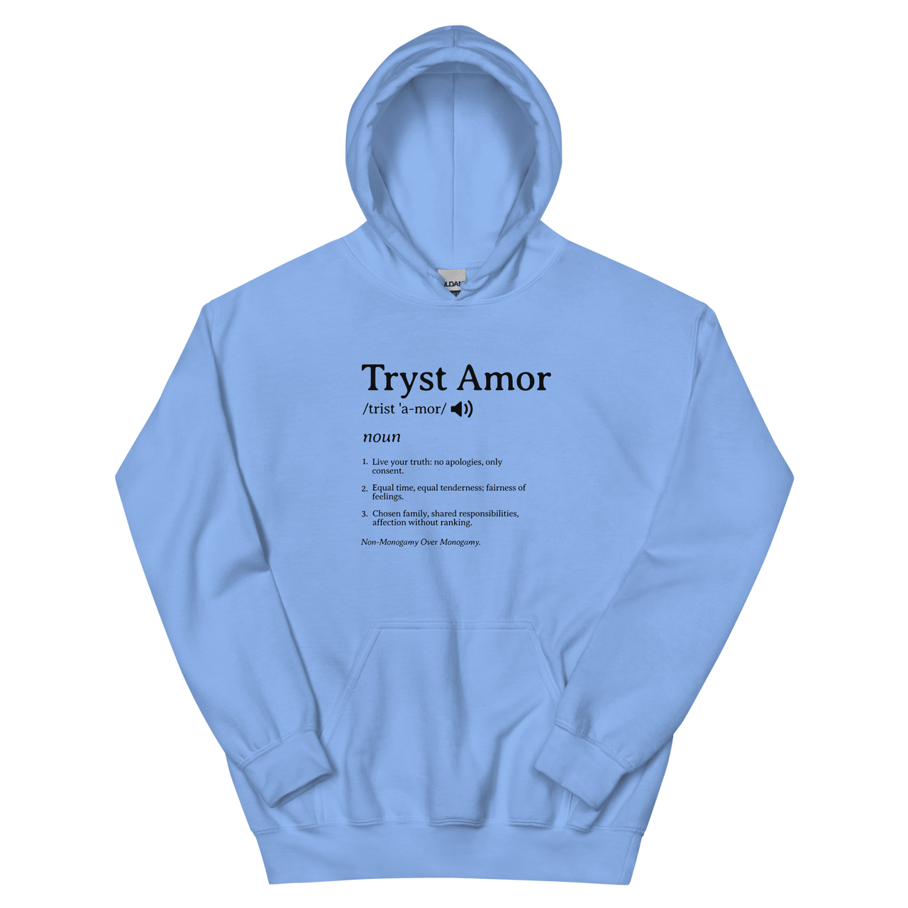 Definition Hoodie - trystamor