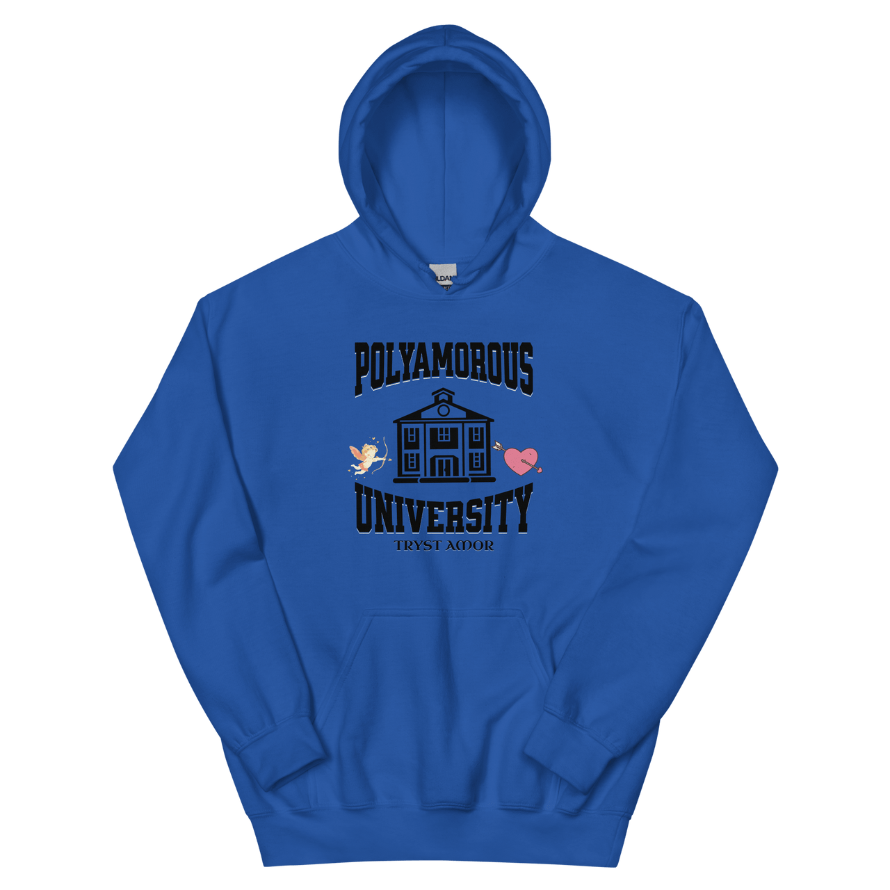 Polyversity Hoodie - trystamor