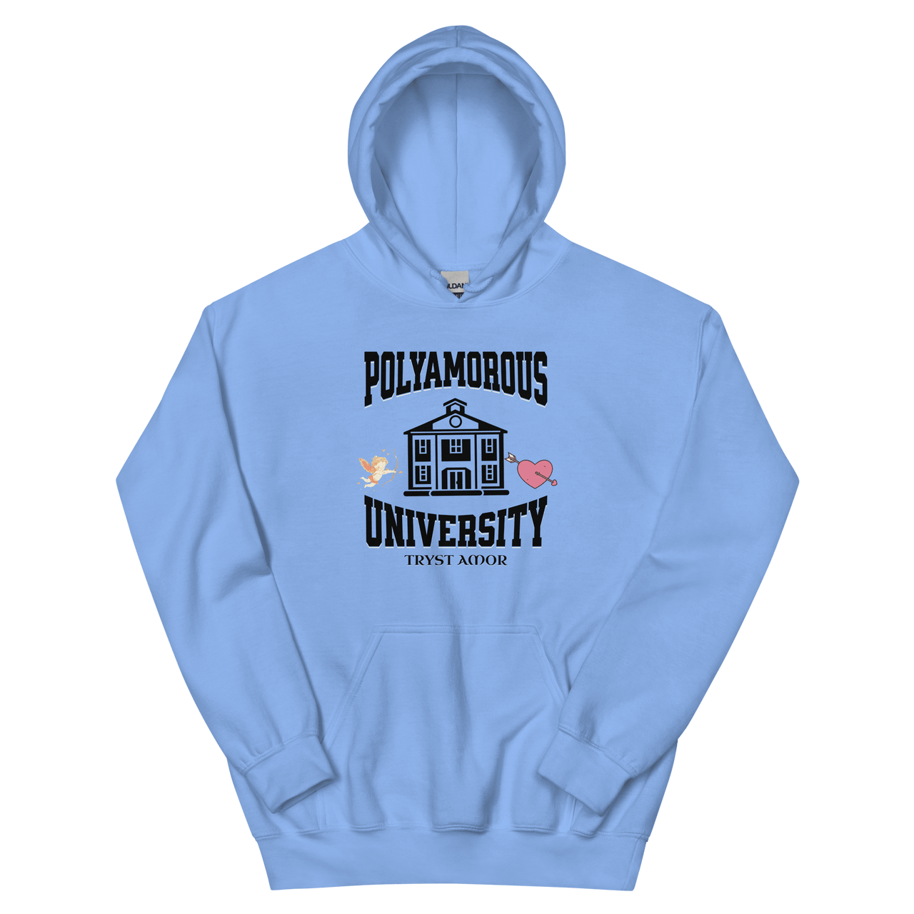 Polyversity Hoodie - trystamor