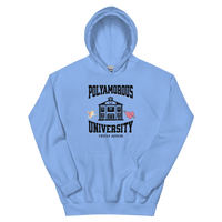 Polyversity Hoodie - trystamor