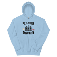 Polyversity Hoodie - trystamor