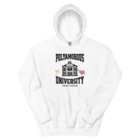 Polyversity Hoodie - trystamor