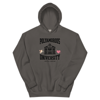 Polyversity Hoodie - trystamor